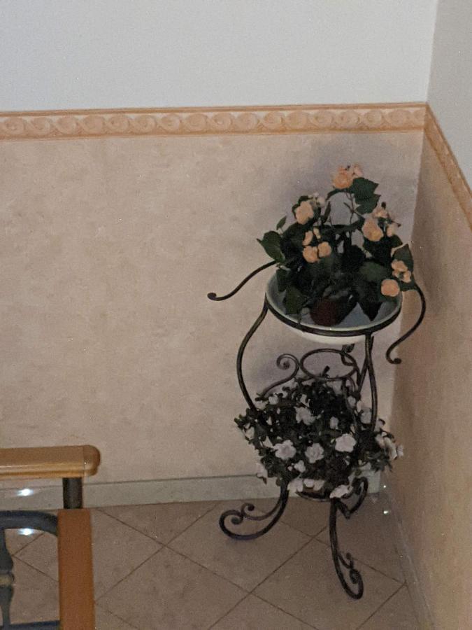 D'Elite Room & Breakfast Ferrara Dış mekan fotoğraf